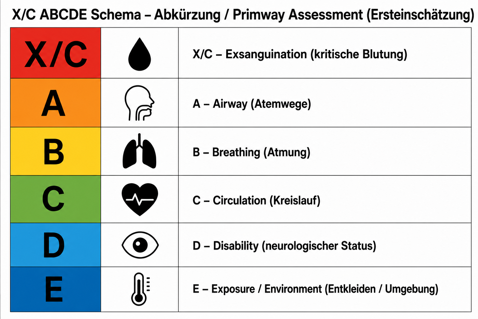 x/cABCDE: X oder C kritische Blutung, A Atemweg, B Atmung, C Kreislauf, D neurologischer Status, E Entkleiden und Umgebung